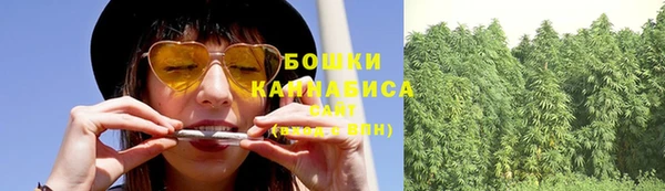 крисы Осинники