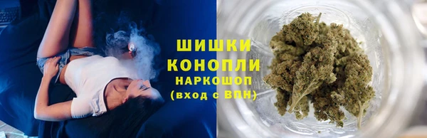 мдпв Осташков