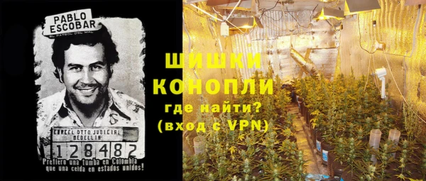 крисы Осинники