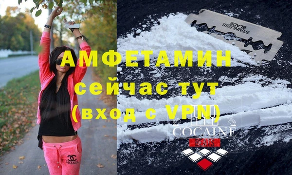 крисы Осинники