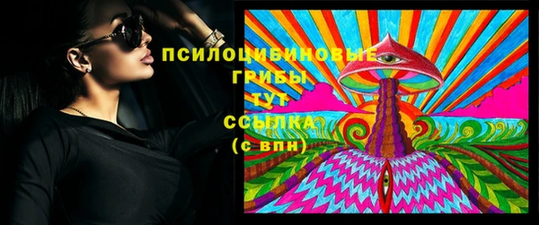 крисы Осинники