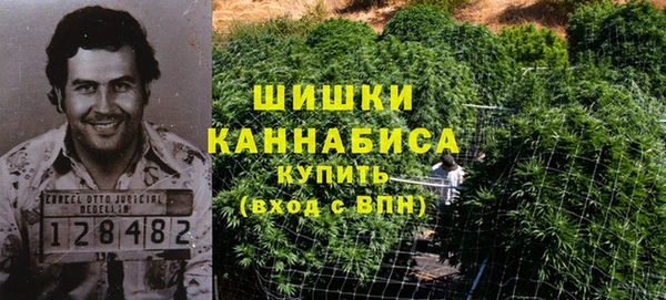 крисы Осинники