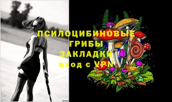 крисы Осинники