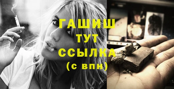 мдпв Осташков