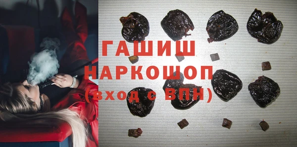 мдпв Осташков