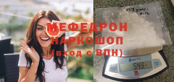 мдпв Осташков