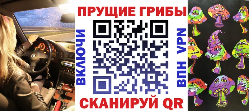 Галлюциногенные грибы Psilocybe купить цена кракен ссылки Райчихинск